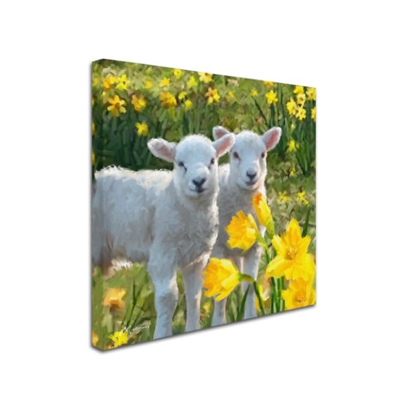 The Macneil Studio 'Lambs' Canvas Art,18x18